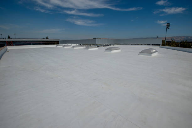 Best Green or Eco-Friendly Roofing Solutions  in Milpitas, CA