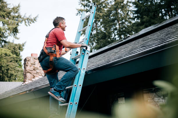 Best Roof Maintenance and Cleaning  in Milpitas, CA